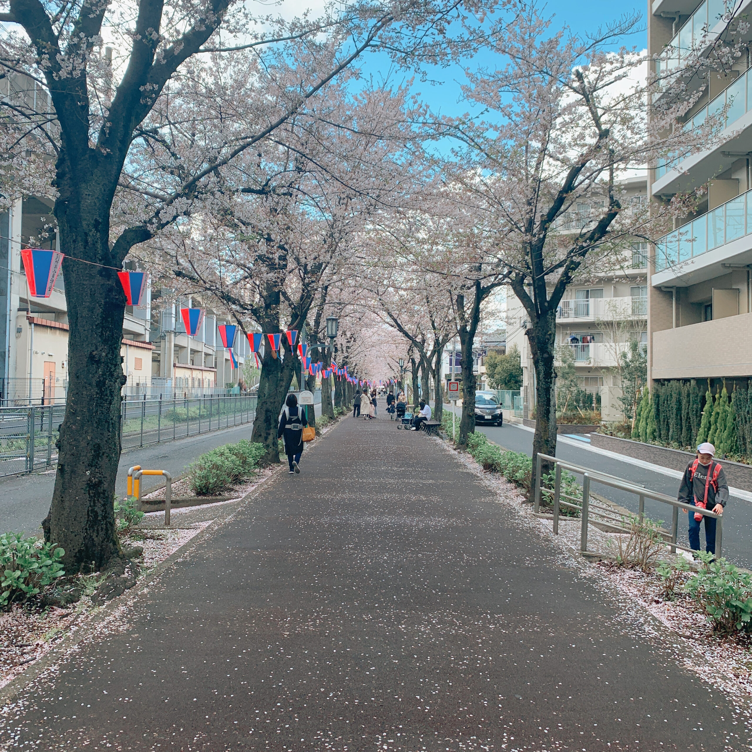 2023/03/29 桜
